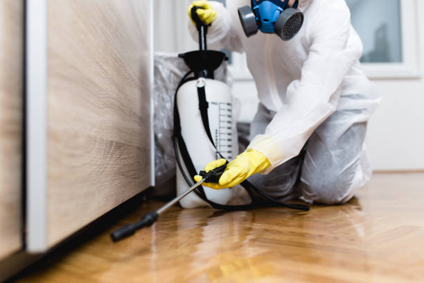 Best Exterminator Services  in Crittenden, KY