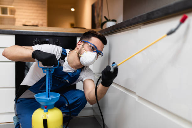 Best Termite Control Services  in Crittenden, KY