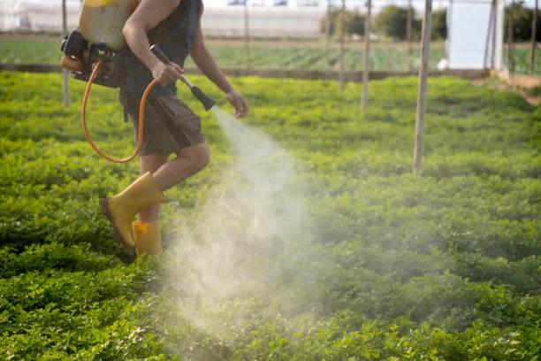 Best Local Pest Control Services  in Crittenden, KY