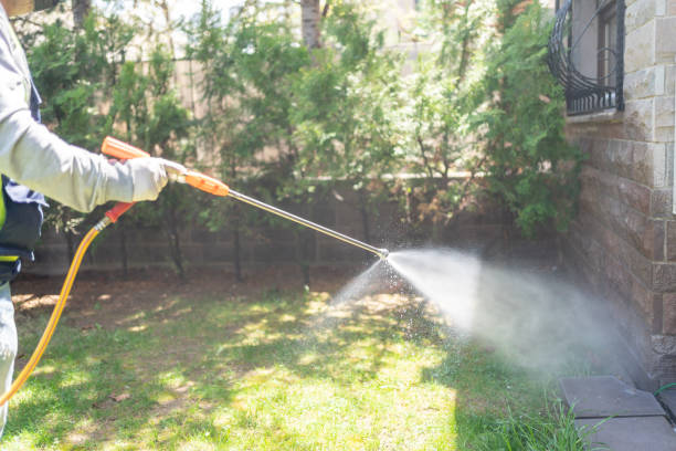 Best Pest Removal Services  in Crittenden, KY
